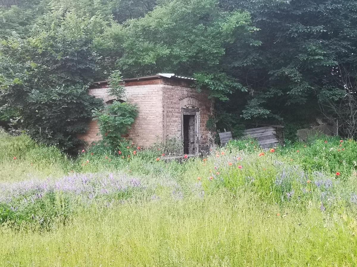 Gaestehaus Am Landgut Schonwalde-Glien Eksteriør billede